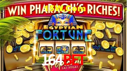 Live Casino 164bet